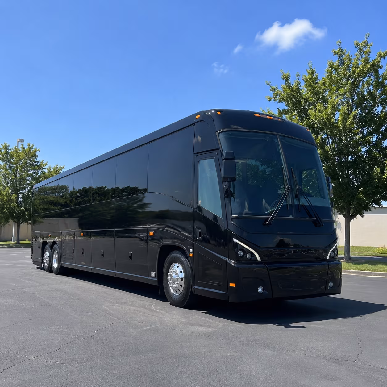 greensboro 56 passenger charter bus